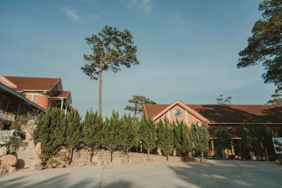 Không gian Võ Thị Sang 1980